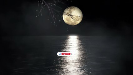 Night Whispers – Calm Ambient Music for Meditation, Study & Restful Dreams