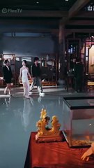 Rvc Fortuna Reversa Mensaje Futuro Flextv Es