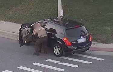 Driver choking by side of road saved by deputy on patrol