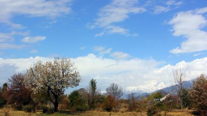 Glide - Bir Billing | movie | 2017 | Official Teaser