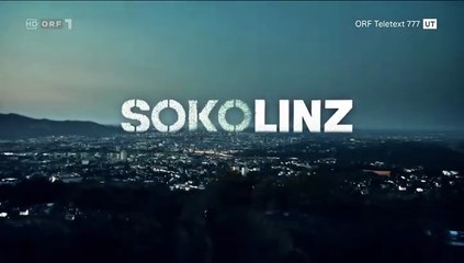 SOKO Linz -10- Kältestarre