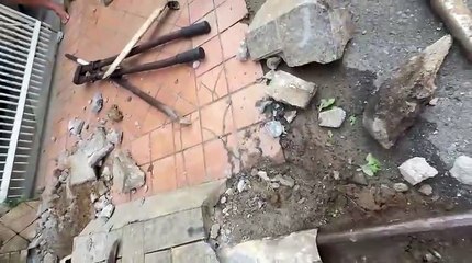 Gato preso em cano subterrâneo é salvo por bombeiros