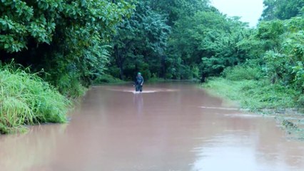 tn7-Aguaceros hicieron estragos en Tamarindo-291025