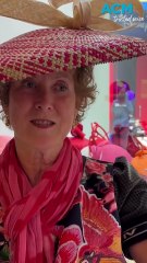 Melbourne Cup 2025: Top Millinery Trends Revealed by Experts 🎩