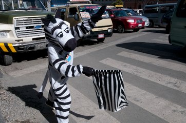 En la otra orilla | Así son las cebras que controlan el tráfico en La Paz, Bolivia