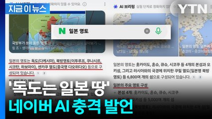 "독도는 일본 영토"라던 AI... 네이버 "즉시 시정조치" [지금이뉴스] / YTN