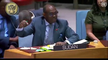 🔥 Sudan’s representative at the UN Security Council:  “When Sudan was supporting countries, the UAE didn’t even exist on the map.