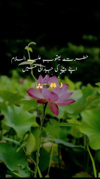 Islamic knowledge || 1 million followers #islamicknowledge #ajmalrazaqadri #molanatariqjameel #jashaneidmiladnabi #unfrezzmyaccount #quran #madina #trending #islamic #islam #muslim #viral #1millionviews #capcut