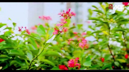 Apartments in Noida: What Makes Ace Parkway Better for Residents