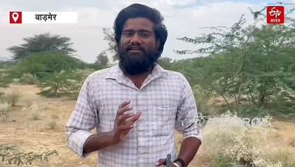 बाड़मेर में दिखा दुर्लभ 'साइलेंट किलर' सांप, स्नेक कैचर ने रेस्क्यू कर सुरक्षित छोड़ा