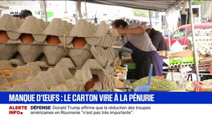 La filière "œufs" a du mal à suivre l'augmentation de la consommation par les Français