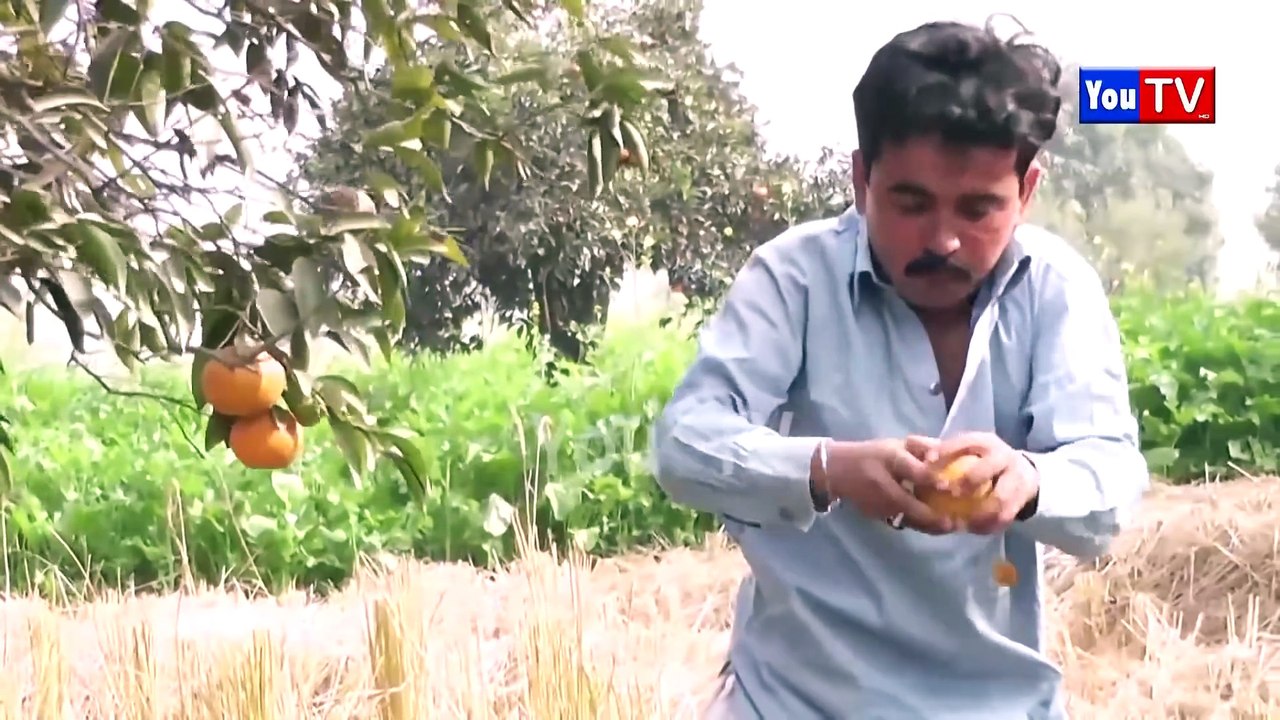 Number Daar Ghareeb Bhas Gya Funny _ New Top Funny _  Must Watch Top New Comedy Video 2025 _ You Tv