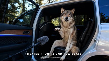 2026 Jeep® Grand Cherokee Reveal - Totally Wild Reviews! #jeep