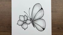 Drawing a Beautiful Butterfly