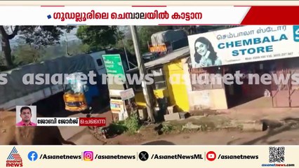 ഗൂഡല്ലൂരിൽ സ്കൂളിനടുത്ത് കാട്ടാനയുടെ പരാക്രമം; ജനവാസ മേഖലയിൽ പരിഭ്രാന്തി പരത്തി