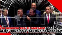 🔥🚨¡DEFIENDEN EL NEGOCIO DEL AMPARO…! ¡’GATO DE ALITO’ es REVENTADO por ‘EL ALUMNO DE NOROÑA’!