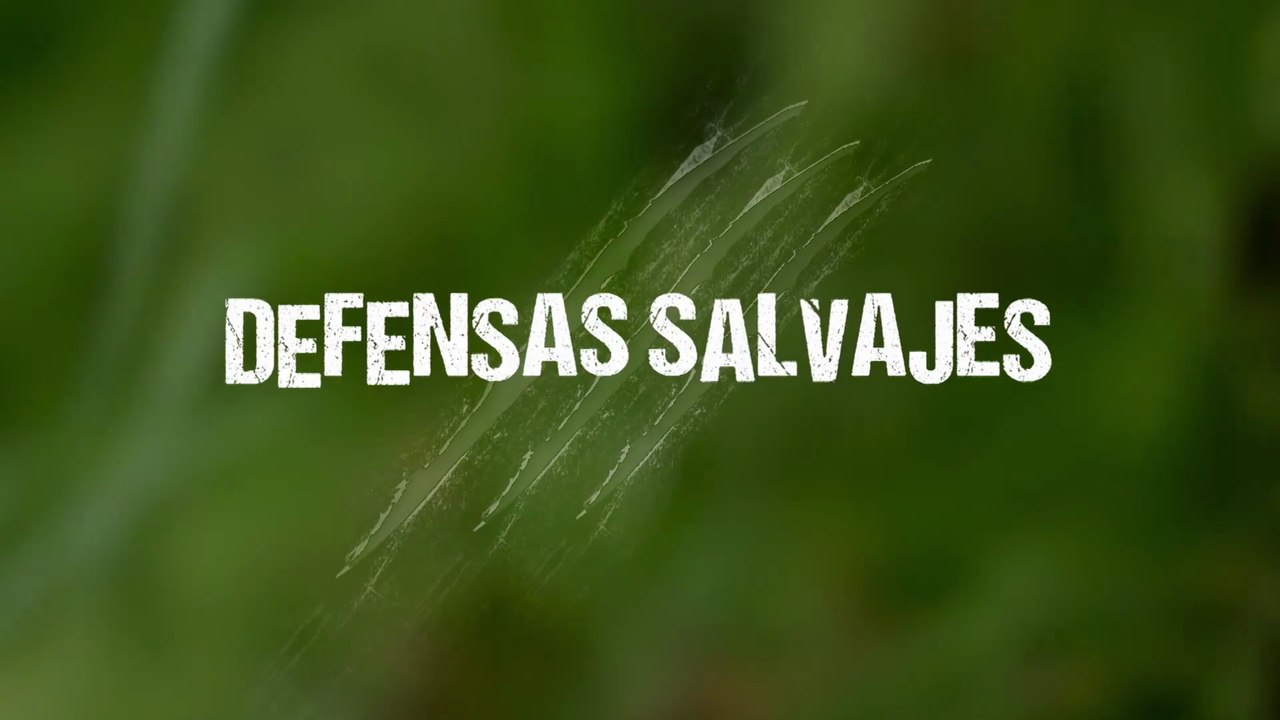 Documental - Defensas Salvajes - Expulsión y olor