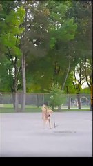 The Cure For A Broken Heart Full Movie _ Dramabox