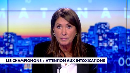 La chronique santé : les champignons, attention aux intoxications
