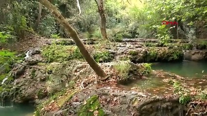Türkiye'nin konumuyla dikkat çeken çok özel restoranının sırrı ortaya çıktı