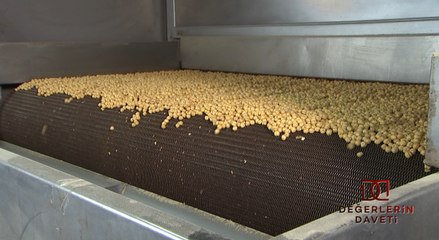 Türkiye’nin zengin mirası canlanıyor: Değerlerin Daveti’nde günün ürünü: Kula leblebisi