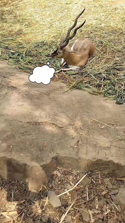 Do you also wake up grumpy?