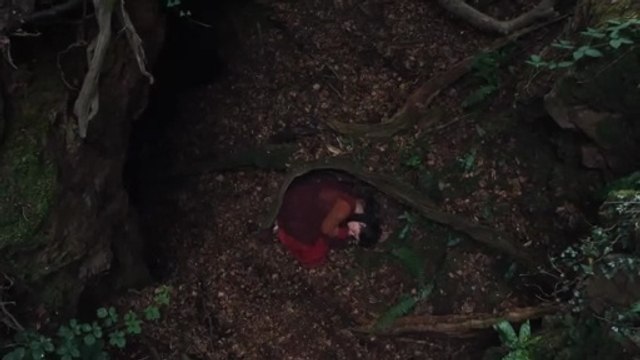 Hamnet Bande-annonce VO STFR