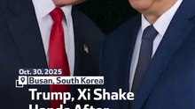 Trump, Xi Shake Hands After Meeting In South Korea
