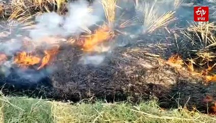 ਇਸ ਪਿੰਡ ਦੇ ਇੱਕ ਵੀ ਖੇਤ 'ਚ ਪਰਾਲੀ ਨੂੰ ਨਹੀ ਲੱਗੀ ਅੱਗ, ਪੰਚਾਇਤ ਦਾ ਉਪਰਾਲਾ, ਤੁਸੀ ਵੀ ਕਹਿ ਉਠੋਗੇ- 'ਵਾਹ'