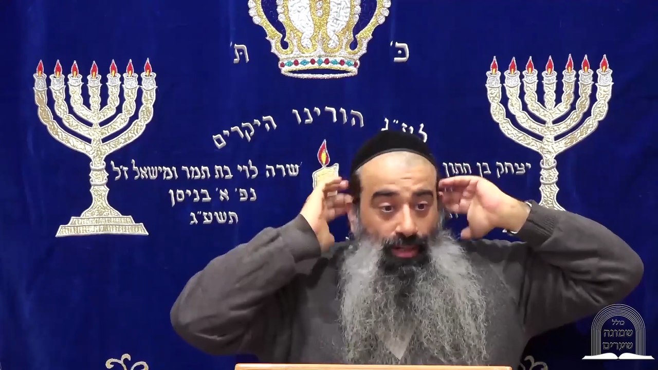 תומר דבורה 2
