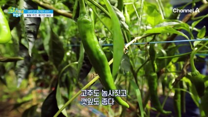 활력을 되찾고 탱고를 추는 팔팔 주민, 고혈당을 극복한 그녀의 비결은?