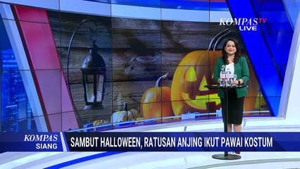 Ratusan Anjing Ikut Pawai Kostum di Acara Trick Or Treat Halloween