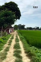 Explore the beauty of Nature | Nature with Amit