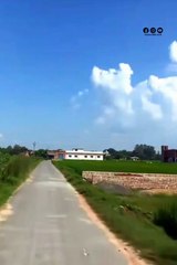 Explore the beauty of Nature | Nature with Amit