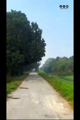 Explore the beauty of Nature | Nature with Amit