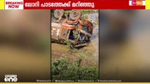പാലക്കാട് തോലന്നൂരിൽ പെട്രോൾ കയറ്റിയ ലോറി പാടത്തേക്ക് മറിഞ്ഞു
