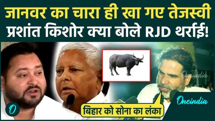 Prashant Kishor ने Tejashwi Yadav और Mahagathbandhan पर ऐसा क्या बोला, RJD का खेल बिगड़ा, चारा चोर