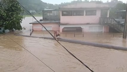 Un hombre nada en Cuba en las inundaciones causadas por Melissa