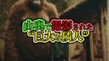 山奥で撮影された──“巨大な隣人”