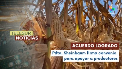 Gobierno de México logra acuerdo con agricultores de maíz