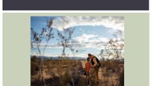 Yvette Heiser Texas: Discover How Wildlife & Landscape Photography Shapes Life