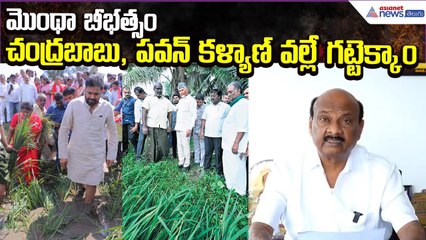 Cyclone Montha Effect: చంద్రబాబు, పవన్ కళ్యాణ్ వల్లే గట్టెక్కాంAyyanna Patrudu | Asianet News Telugu