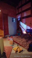 The orphaned girl was adopted by a barren billionaire and became the darling of his rich family