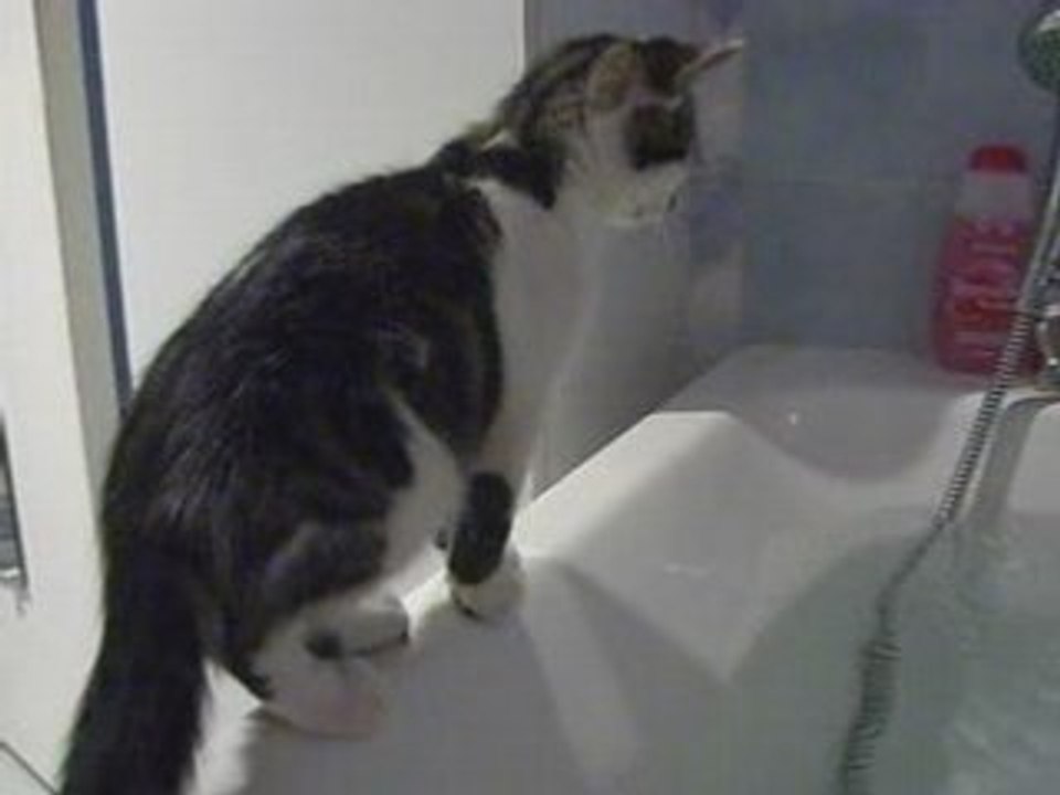 Néro au bain !