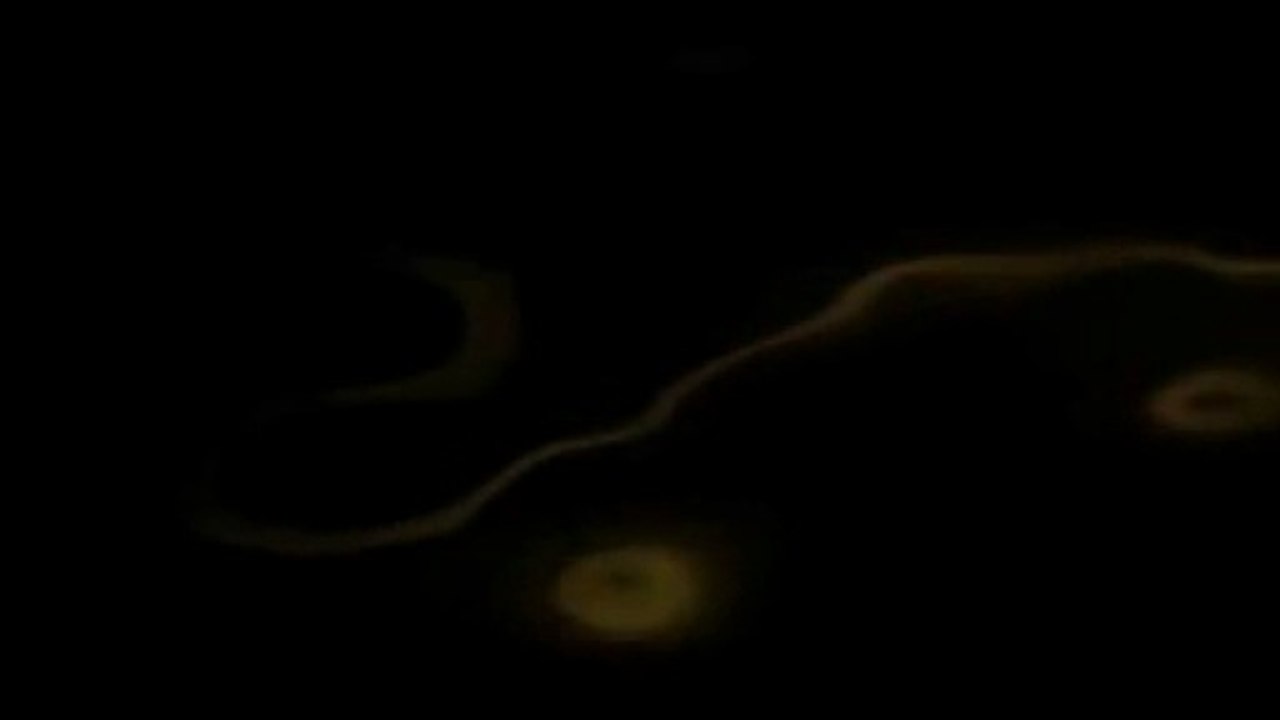 0001_9.11 Die Dritte Wahrheit _min 30 ff khalezov