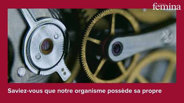Pourquoi votre horloge biologique est essentielle à votre santé (et 6 façons d’en prendre soin)