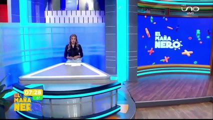 COMISIÓN ENTREGA INFORME, SIN INDICIOS DE GOLPE