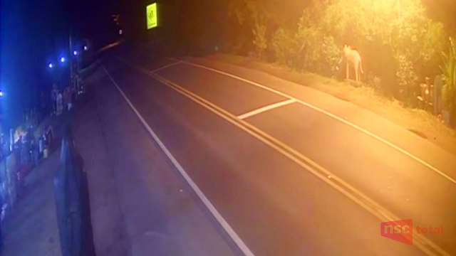 Acidente entre carro e caminhão mata três na BR-470 em Apiúna