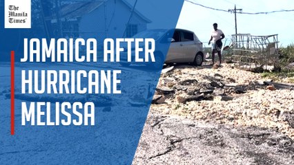 Damaged pavement, toppled trees in Jamaica after Hurricane Melissa