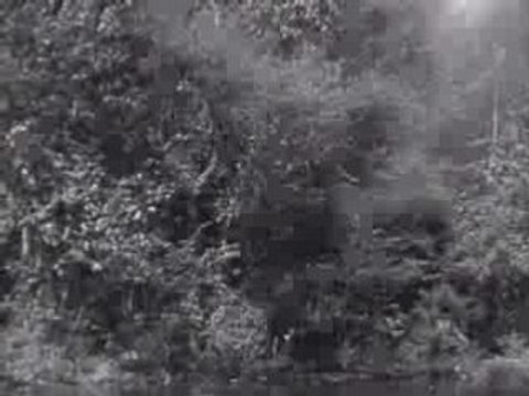 Chevrolet Fire Fighting Equipment History Film: Just A ...